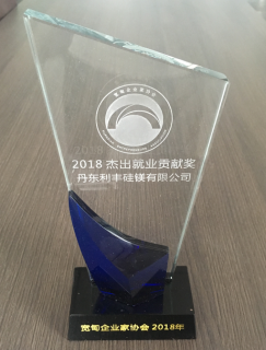 Outstanding employment contribution award Outstanding employment contribution award