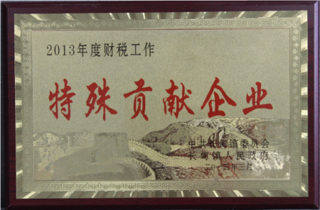 Special contribution Enterprises Special contribution Enterprises